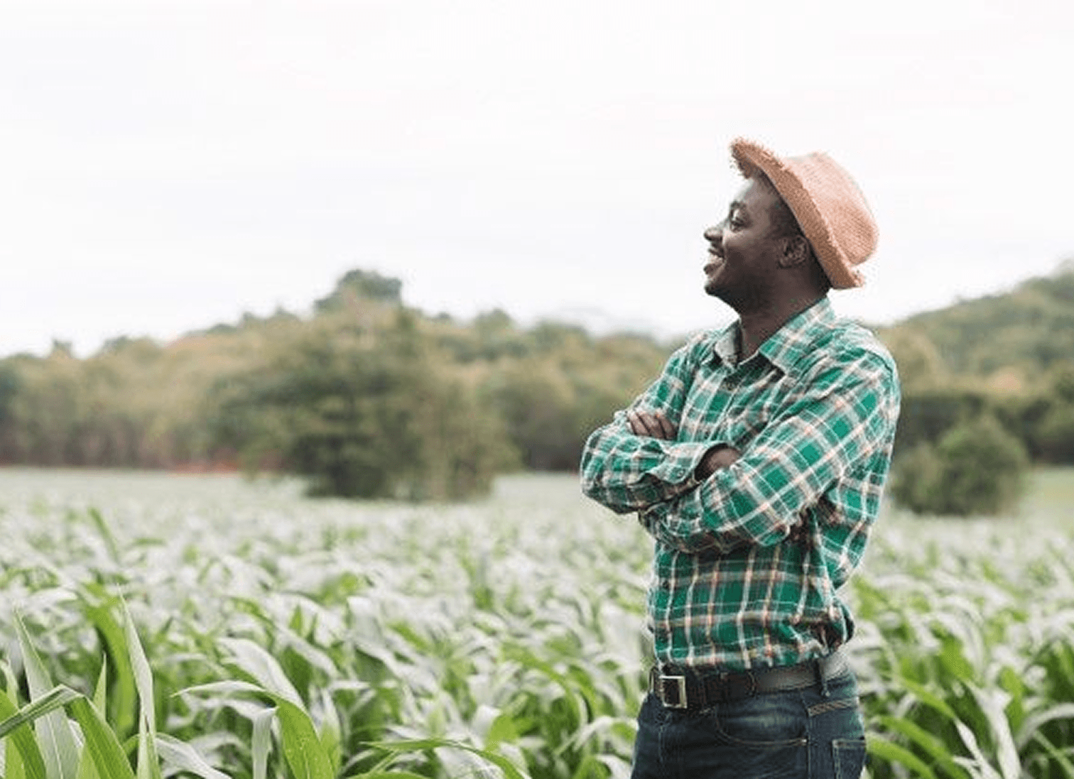 Farmer in the field